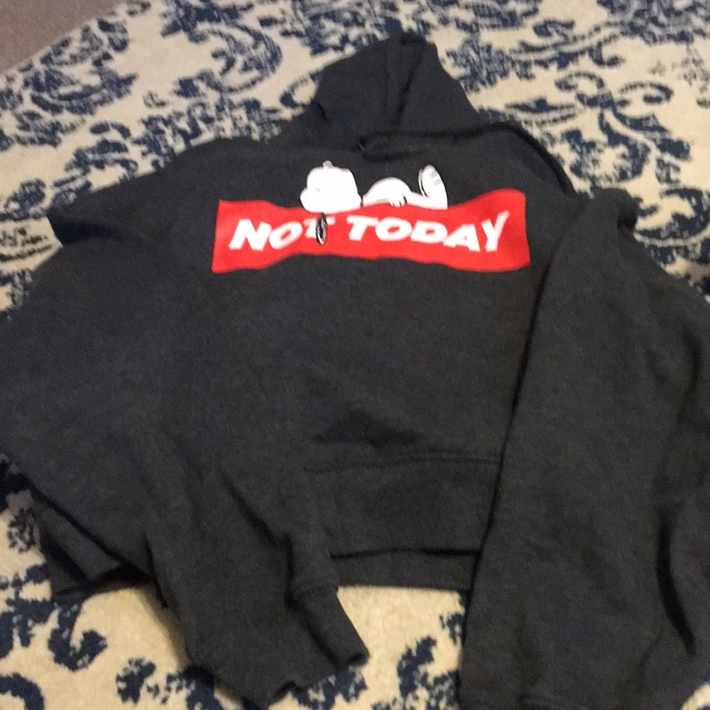 Cropped Hooded Sweatshirt